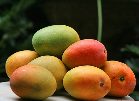 Mangga Gincu